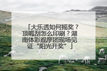 大乐透如何摇奖？顶呱刮怎么印刷？湖南体彩观摩团现场见证“阳光开奖”