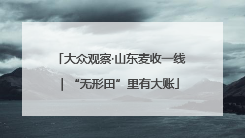 大众观察·山东麦收一线｜“无形田”里有大账