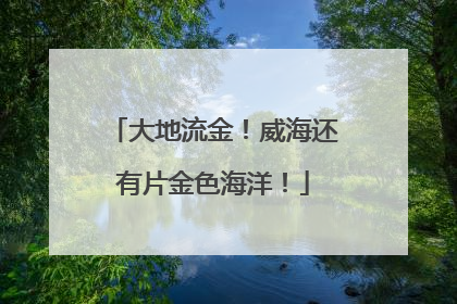 大地流金！威海还有片金色海洋！