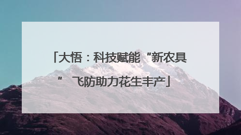 大悟：科技赋能“新农具” 飞防助力花生丰产