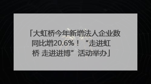 大虹桥今年新增法人企业数同比增20.6%！“走进虹桥 走进进博”活动举办