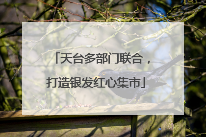 天台多部门联合，打造银发红心集市
