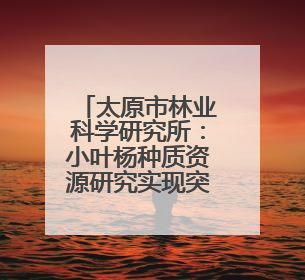 太原市林业科学研究所：小叶杨种质资源研究实现突破