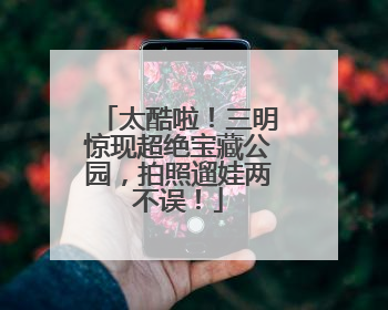 太酷啦！三明惊现超绝宝藏公园，拍照遛娃两不误！