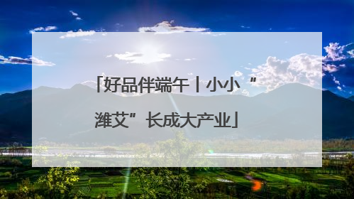 好品伴端午丨小小“潍艾”长成大产业