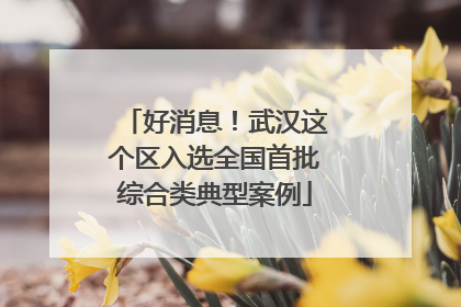 好消息！武汉这个区入选全国首批综合类典型案例