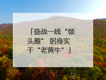奋战一线“领头雁” 躬身实干“老黄牛”