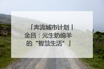 奔流城市计划丨金昌：元生奶绵羊的“智慧生活”