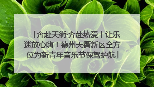奔赴天衢·奔赴热爱丨让乐迷放心嗨！德州天衢新区全方位为新青年音乐节保驾护航
