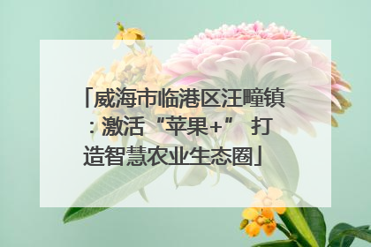 威海市临港区汪疃镇：激活“苹果+” 打造智慧农业生态圈