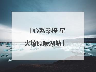 心系桑梓 星火燎原暖湖塘