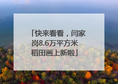 快来看看，闫家岗8.6万平方米稻田画上新啦