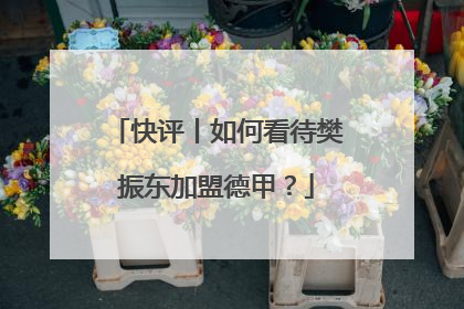 快评丨如何看待樊振东加盟德甲？