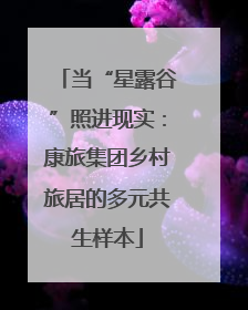 当“星露谷”照进现实：康旅集团乡村旅居的多元共生样本