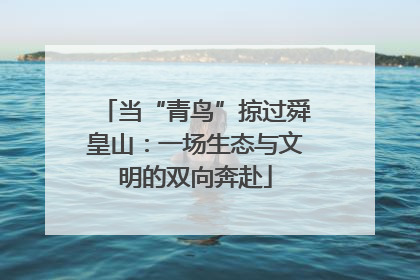 当“青鸟”掠过舜皇山：一场生态与文明的双向奔赴