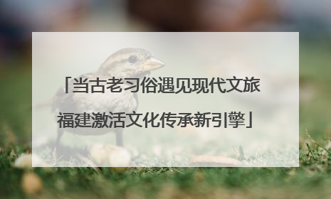 当古老习俗遇见现代文旅 福建激活文化传承新引擎