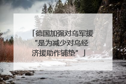 德国加强对乌军援 “是为减少对乌经济援助作铺垫”
