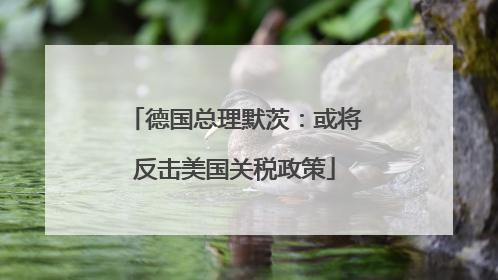 德国总理默茨：或将反击美国关税政策