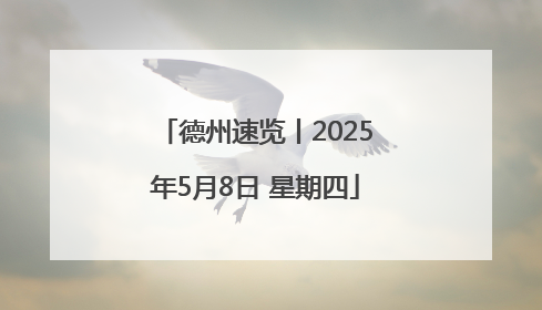 德州速览丨2025年5月8日 星期四
