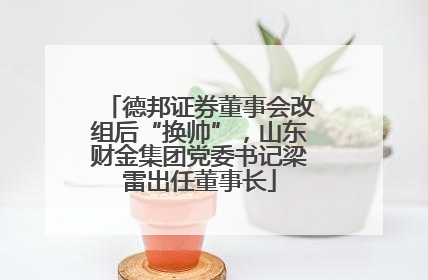 德邦证券董事会改组后“换帅”，山东财金集团党委书记梁雷出任董事长