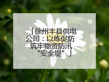 徐州丰县供电公司：以练促防 筑牢物资防汛“安全堤”