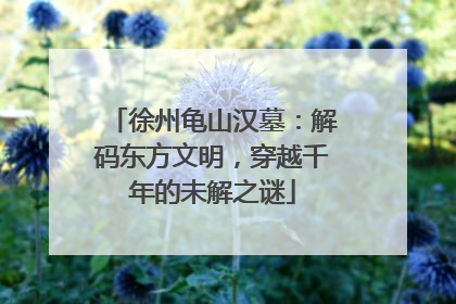 徐州龟山汉墓：解码东方文明，穿越千年的未解之谜