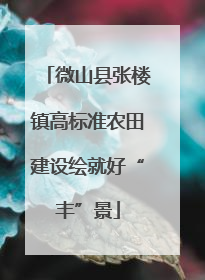 微山县张楼镇高标准农田建设绘就好“丰”景
