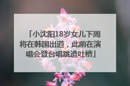 小沈阳18岁女儿下周将在韩国出道，此前在演唱会登台唱跳遭吐槽