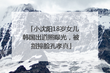 小沈阳18岁女儿韩国出道照曝光，被指撞脸孔孝真