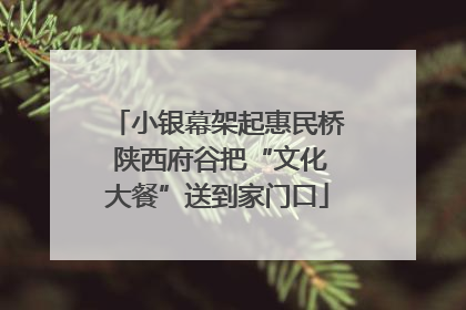 小银幕架起惠民桥 陕西府谷把“文化大餐”送到家门口
