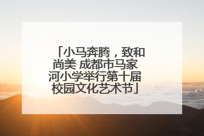 小马奔腾，致和尚美 成都市马家河小学举行第十届校园文化艺术节