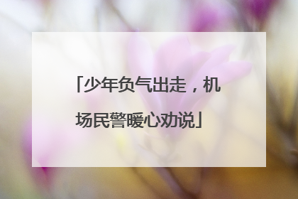 少年负气出走，机场民警暖心劝说