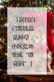 居民自己筹钱栽花种草，小区荒地变成“微花园”