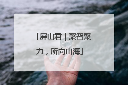 屏山君｜聚智聚力，所向山海