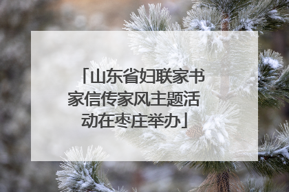 山东省妇联家书家信传家风主题活动在枣庄举办