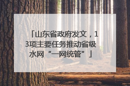 山东省政府发文，13项主要任务推动省级水网“一网统管”