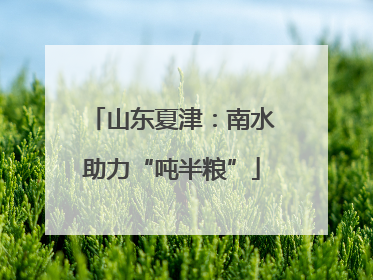 山东夏津：南水助力“吨半粮”