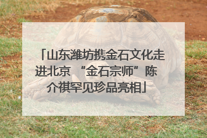 山东潍坊携金石文化走进北京 “金石宗师”陈介祺罕见珍品亮相