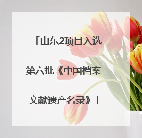 山东2项目入选第六批《中国档案文献遗产名录》