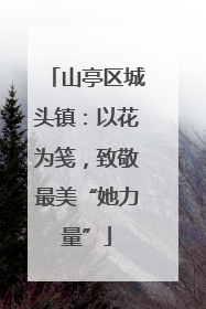 山亭区城头镇：以花为笺，致敬最美“她力量”