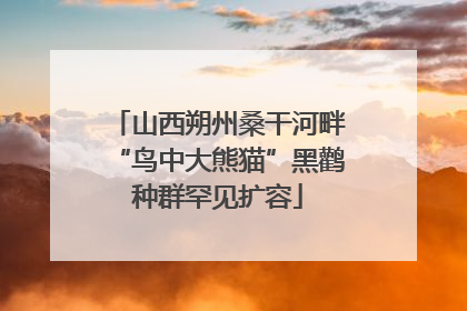 山西朔州桑干河畔“鸟中大熊猫”黑鹳种群罕见扩容
