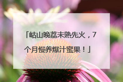 岵山晚荔未熟先火，7个月慢养爆汁蜜果！