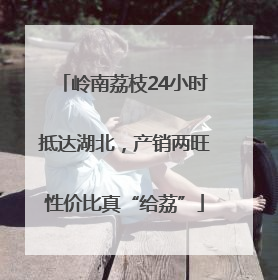 岭南荔枝24小时抵达湖北，产销两旺性价比真“给荔”