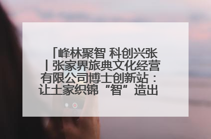 峰林聚智 科创兴张丨张家界旅典文化经营有限公司博士创新站：让土家织锦“智”造出非遗新传奇
