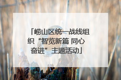 崂山区统一战线组织“智览新篇 同心奋进”主题活动
