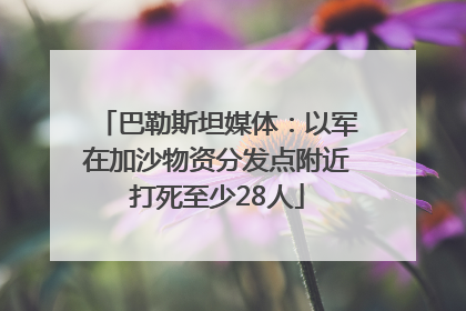 巴勒斯坦媒体：以军在加沙物资分发点附近打死至少28人