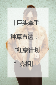 巨头牵手种草直达：“红京计划”亮相