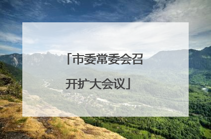 市委常委会召开扩大会议