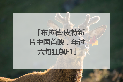 布拉德·皮特新片中国首映，年过六旬狂飙F1