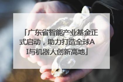 广东省智能产业基金正式启动，助力打造全球AI与机器人创新高地